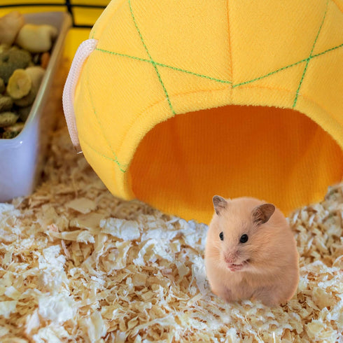 Jetec 2 Pieces Hamster Hammock - Soft Bed Small Pet House for Guinea Pig Rat Chinchilla Sleep and Play