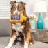 Huxley & Kent Bad Dog Jack's Whiskey Small Funny Dog Toy, Power Plush with Squeaker