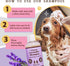 Natural Dog Company Calming Lavender Shampoo for Dogs, Hypoallergenic Deodorizing Shampoo for Sensitive Skin, 12 oz