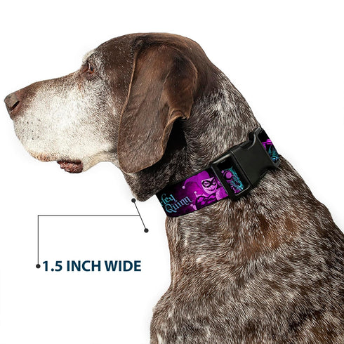 Dog Collar Plastic Clip, Harley Quinn Pow Aiming Poses Joker, 11 to 17 Inches, 1.0 Inch Wide