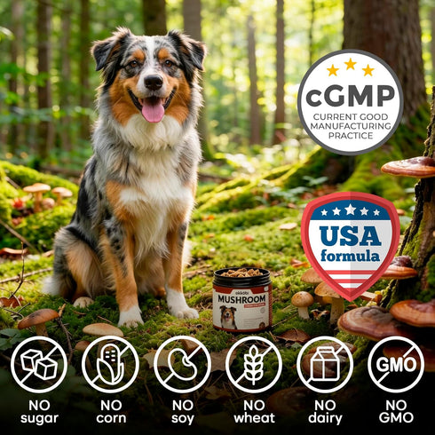 5-in-1 Immune Premium Mushroom Chews for Dogs - Turkey Tail, Lions Mane, Chaga, Reishi & Shiitake - Support & Cognitive