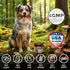 5-in-1 Immune Premium Mushroom Chews for Dogs - Turkey Tail, Lions Mane, Chaga, Reishi & Shiitake - Support & Cognitive