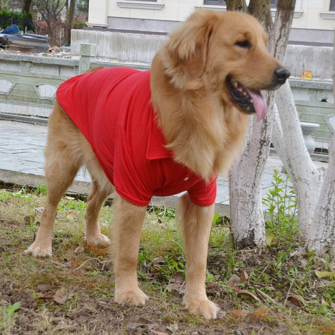 lovelonglong Basic Dog Polo Shirts – Premium Cotton T-Shirts for Large Medium Small Dogs, Red XS, Two-Button Collar
