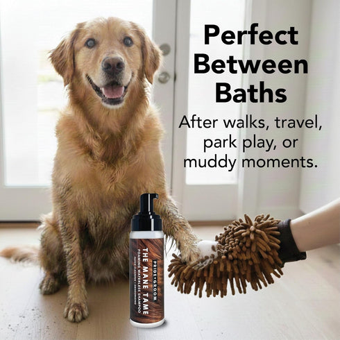 Pride and Groom THE MITT KIT: A Waterless Bath for Dogs - Foaming Dry Shampoo and a Pet Sensitive Glove for a Rinse