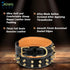 Genuine Leather Spike Dog Collar | Full Grain, Heavy Duty for Medium, Large, XL Breeds (1.75" Wide, Black)