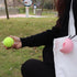 Dog Toy Ball Holder - Hands-Free Leash Attachment for All Breeds, Fits Standard Tennis Balls (Black)