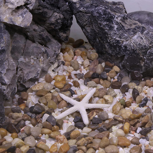 VOCOSTE Mini Faux Coral Decor for Aquarium Decorations, White, 2.36"x2.44"
