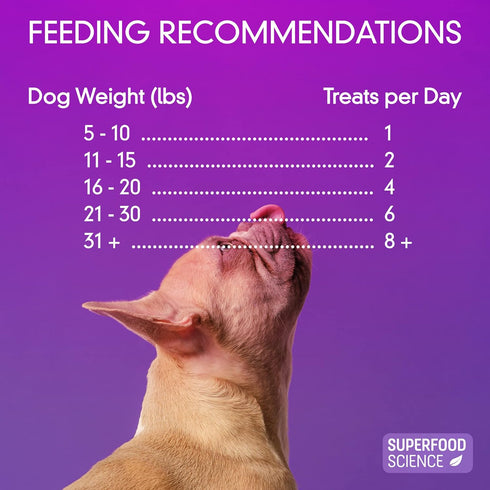 Organic Dog Treats for All Breeds, Semi-Soft Turkey Dog Training Jerky Snack Bites, 5 oz