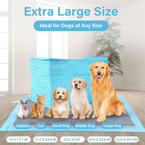FluffyDream Super Absorbent Waterproof Dog and Puppy Training Pad, Housebreaking Pet Pad, Small-Size, Blue (40 PCS)