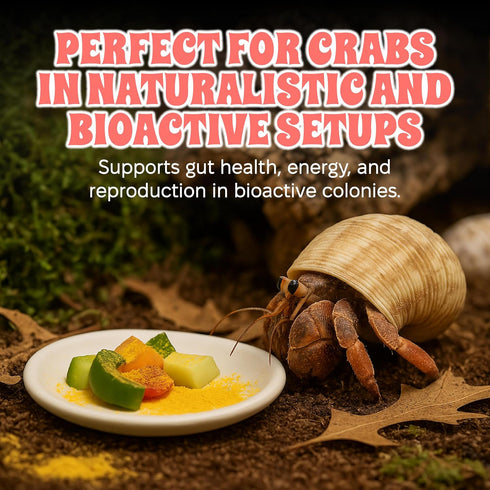 2.5 oz Snout and Shell Bee Pollen Powder for Hermit Crabs Natural Food Supplement for Molting & Recovery Auto Feeder