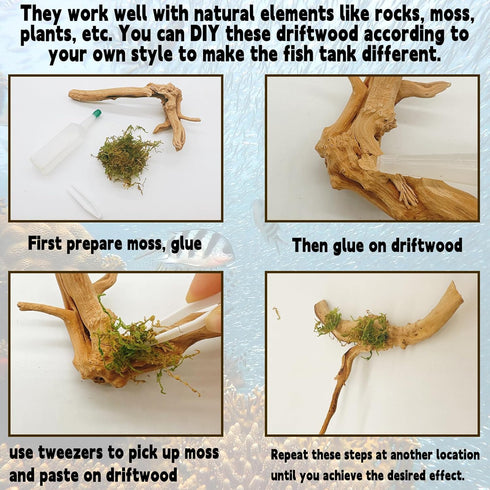 Hamiledyi 5PCS Driftwood for Aquarium, 7-9inch Natural Reptile Spider Wood, Assorted Branches Fish Tank Decor