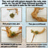 Hamiledyi 5PCS Driftwood for Aquarium, 7-9inch Natural Reptile Spider Wood, Assorted Branches Fish Tank Decor