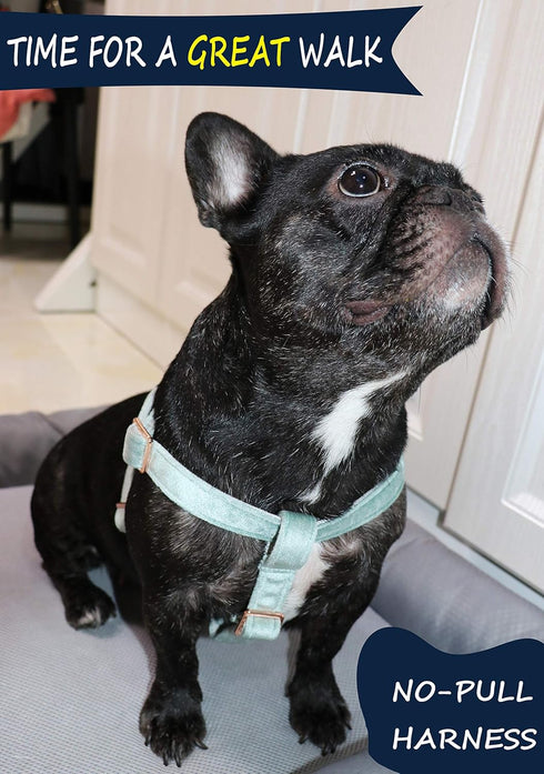 ARING PET Velvet Dog Halter Harness, Adjustable No Pull Heavy Duty Harness for Small to Large Dogs