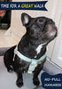 ARING PET Velvet Dog Halter Harness, Adjustable No Pull Heavy Duty Harness for Small to Large Dogs