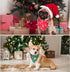 ADOGGYGO 4 Pack Dog Bandana Christmas Scarf Triangle Bibs Kerchief Set, Red Green Pet Christmas Costume Accessories
