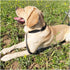 10FT Traffic Leash with 2 Handles, Reflective Dog Leash for Large Medium Dogs and Pullers