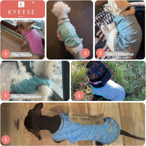 KYEESE 2 Pack Dog Shirts, Sun Protection Quick Dry Soft Stretchy T-Shirts with Reflective Label for Small Medium Dogs,