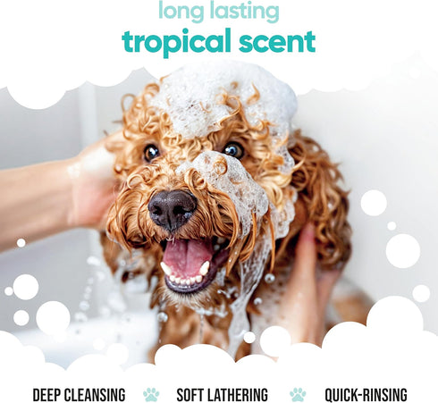 Buddycare B5 (33.8oz) Tropical Dog Shampoo by | Deep Cleansing Shampoo for Dogs | Tropical Scented | with Aloe Vera