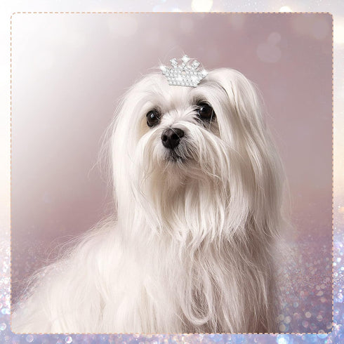 9 Pieces Dog Tiara Crown Hair Clips, Pet Crystal Rhinestone Barrette Clips for Dog Grooming Accessories