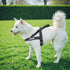 EXCELLENT ELITE SPANKER No Pull Dog Harness, Padded Military Patrol Vest, Adjustable Nylon for Small Dogs