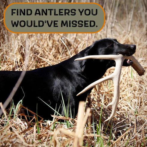 DogBone Shed Dog Training System, Hunting Dog Accessories, Training Kit, Scent Training Tools for Dogs