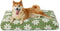 Lesure Dog Beds, Large Sized Dog-Thick Shredded Foam Pet Bed, Indoor with Removable Cover, Cute Modern Fuzzy Plush,