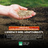 5LB DLF Chicken Max Forage Seed Mixture for Chickens, Poultry, and Farms Layer Mix with Clover, Ryegrass, Buckwheat