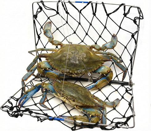 AirFly Foldable Crabjaw Trap with Bait Clip - Redesigned Rectangle Castable Crab Hawk Pot/Ring for Dungeness and Blue