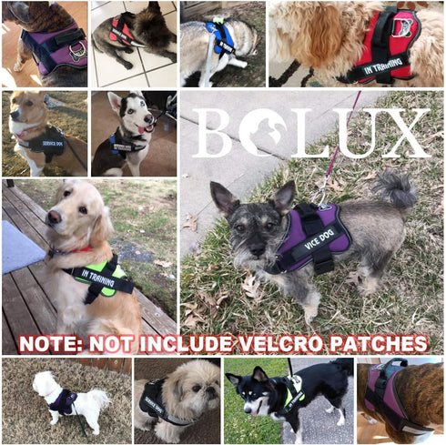 Bolux Dog Harness, No-Pull Reflective Vest, Breathable Adjustable Pet Harness with Handle for Outdoor Walking (Blue, S)