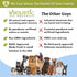 Wholistic Pet Organics Pet Shampoo Concentrate - Herbal Organic Dog Shampoo for Dry, Itchy Skin