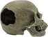 Komodo Realistic Full Human Skull Ornament for Reptile Terrarium or Aquarium Decoration, 4.3"x 7.2"x 4.1"