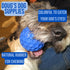 Doug's Dog Supplies Honeycomb Squeaky Ball, Squeaky Balls for Medium to Large Dogs (Blue, 1)