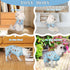 TONY HOBY Dog Pajamas, Soft Breathable Jumpsuit with Cute Smile Cupcake for Small Medium Dogs (Blue, XS)