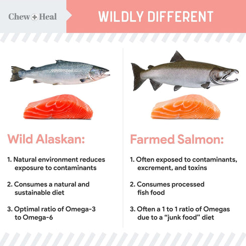 Pure Wild Alaskan Salmon Oil for Dogs, 32 oz, Pump Cap Bottle, Omega-3 and 6 for Healthy Skin and Coat