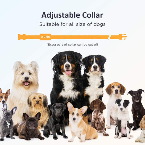 PATPET Dog Training Collar with Remote, Electric Shock Collar for Small Medium Large Dogs, 3 Adjustable Safe Modes,