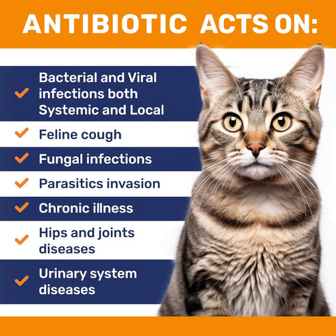 Antibiotics for Cats ? Cat Antibiotic ? Natural Antibiotics for Cats ? Cat Antibiotics ? Antibiotic for Cats ? Cat Multivitamin ? Pet Antibiotic ? 2 Oz