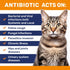 Antibiotics for Cats ? Cat Antibiotic ? Natural Antibiotics for Cats ? Cat Antibiotics ? Antibiotic for Cats ? Cat Multivitamin ? Pet Antibiotic ? 2 Oz