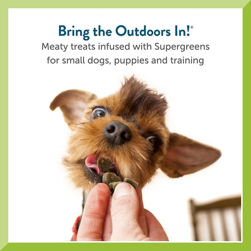 Pet Greens Natural Soft-Chew Dog Treats, Infused with Supergreens, 3 Pack, Bacon and Cheese, 6 oz Each
