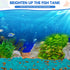 1000PC Glow in The Dark Stones, Luminous Pebbles for Outdoor Decor, Garden, Fish Tank, Walkway, Pathway (Blue)