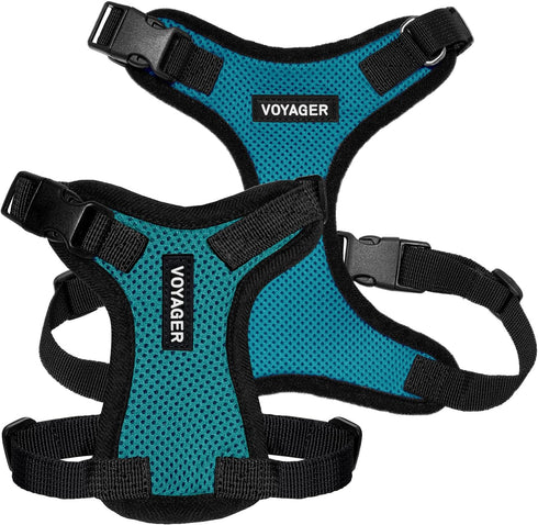Voyager Step-in Lock Pet Harness, Adjustable All Weather Mesh Harness for Cats and Dogs, Turquoise/Black Trim, L
