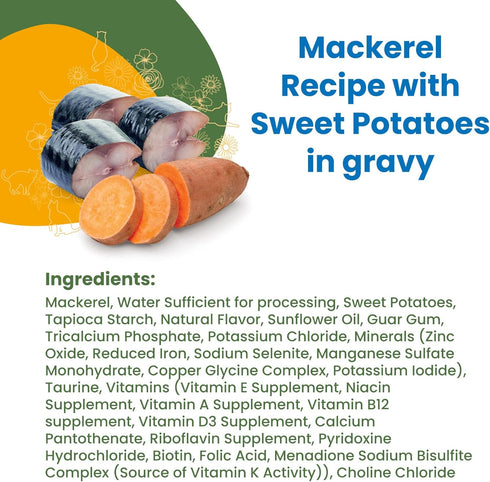 Almo Nature HQS Complete Wet Cat Food Mackerel Recipe with Sweet Potatoes in Gravy, 2.47 oz (Pack of 24)