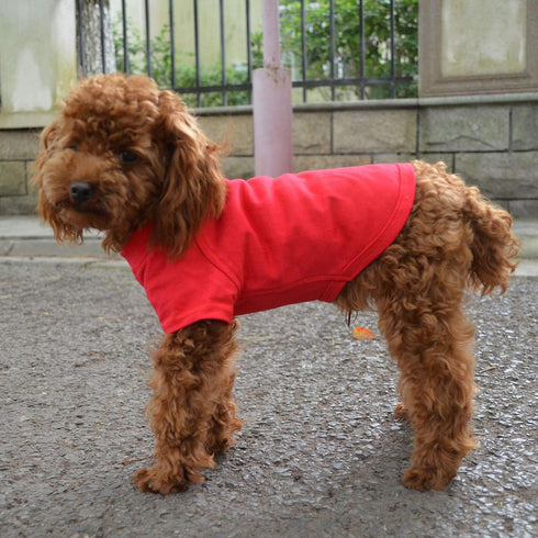 Lovelonglong Pet Clothing Dog Costumes Basic Blank T-Shirt Tee Shirts for Small Dogs, Red S