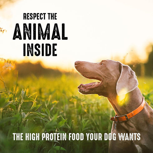 CRAVE Grain Free High Protein Adult Dry Dog Food with Lamb, 4 lb. Bag