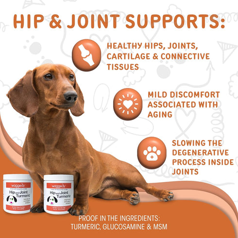 waggedy Hip and Joint Turmeric - Dog Supplements for Joints with Glucosamine & MSM, All-Natural Daily Chews to Improve