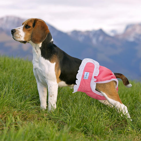(4 Teamoy Washable Female Dog Diapers, Reusable Doggy Diaper Period Panties in Heat for Female Dog Pcs, M)