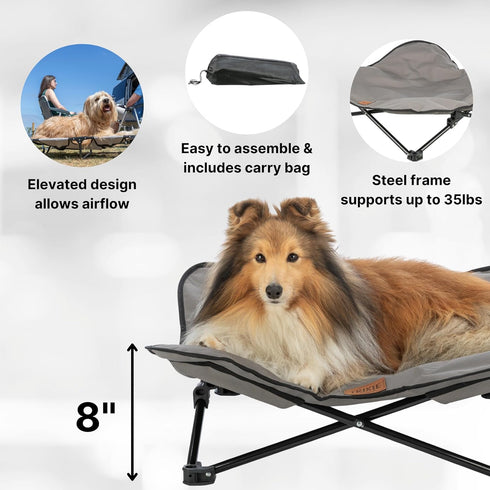TRIXIE Camping Cot for Dogs - Elevated Folding Padded Pet Bed, Raised Travel Lounger for Small to Medium Dogs