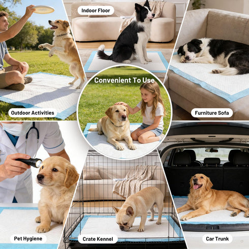 100 Count 22" 22" 14 86 ZOMISIA Puppy Pee Pads with Health Monitoring for Dogs x - Color Changing Pee Pads with pH