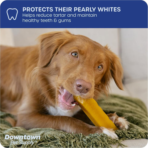 Downtown Pet Supply Yak Cheese Himalayan Dog Chews - Regular Yak Chews Rich in Nutrients for Small to Medium Dogs - 2 LB