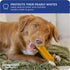 Downtown Pet Supply Yak Cheese Himalayan Dog Chews - Regular Yak Chews Rich in Nutrients for Small to Medium Dogs - 2 LB