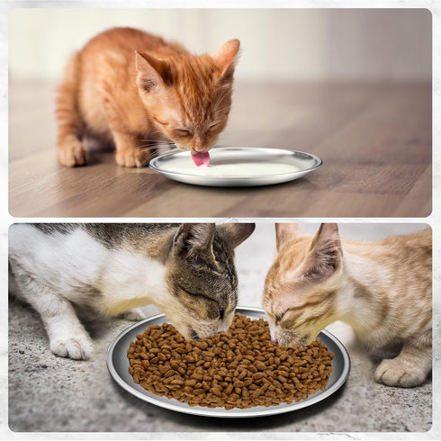 Domensi 12 Pieces Stainless Steel Cat Bowl Set, Shallow 6.7 Inch Cat Food Dish for Wet Feeding, Small Pet Plate